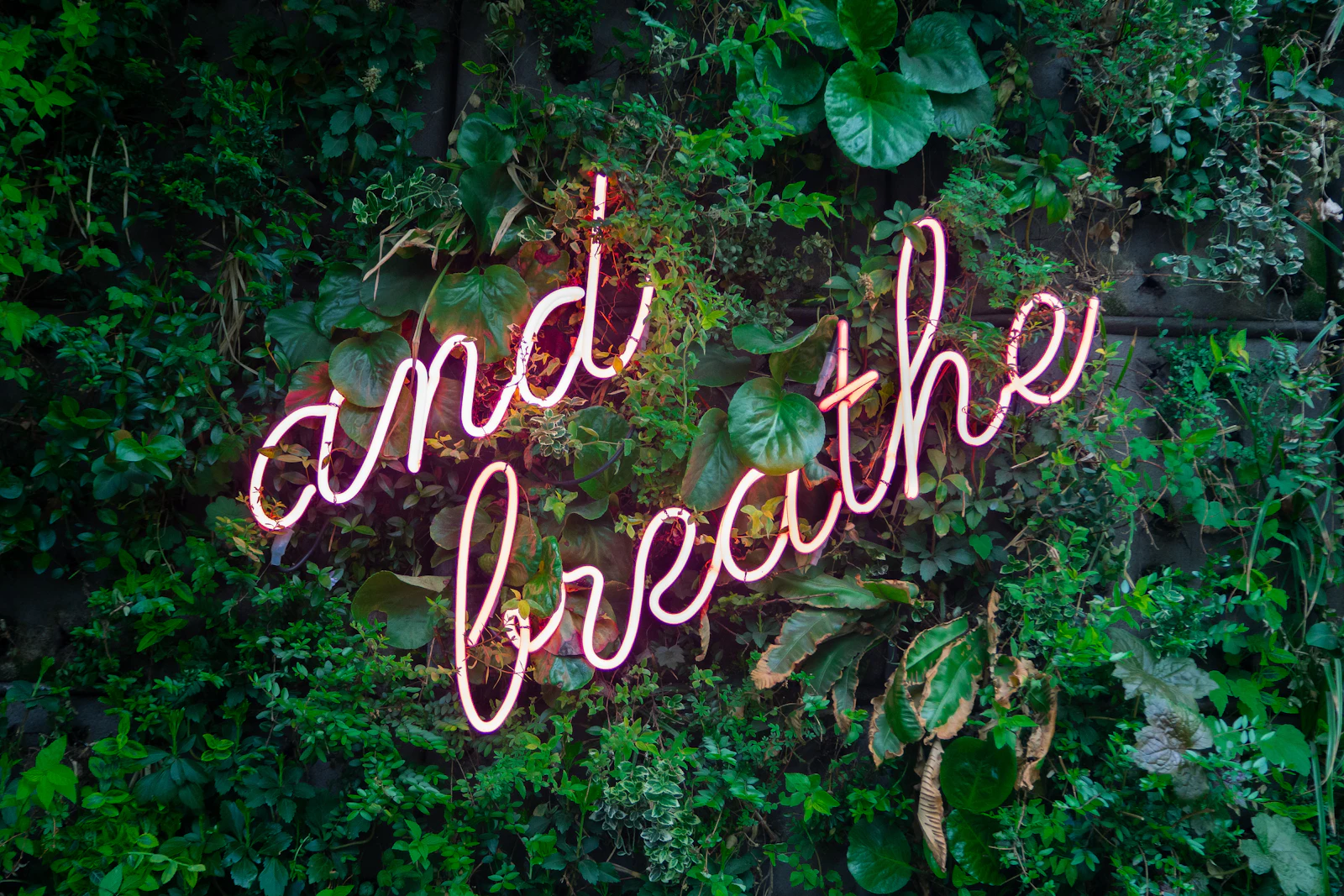 Calm, easy breathing for the whole family